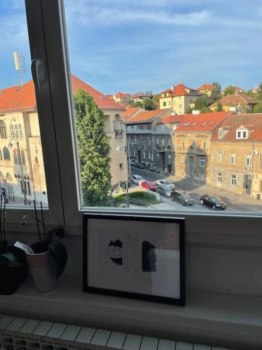Spacious 3Br/2Bt Apartment With A/C In City Center Загреб Екстериор снимка