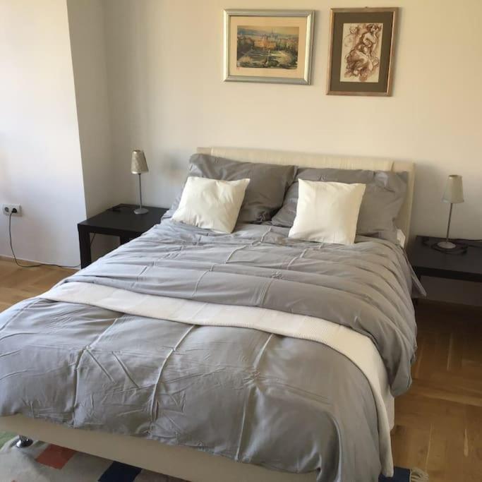 Spacious 3Br/2Bt Apartment With A/C In City Center Загреб Екстериор снимка