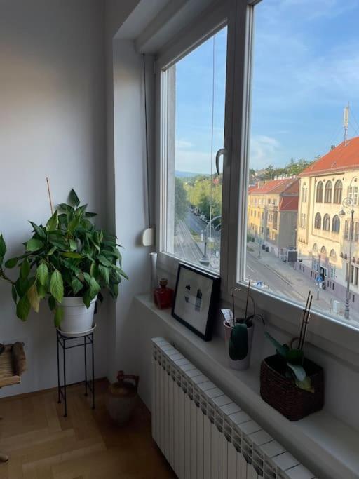 Spacious 3Br/2Bt Apartment With A/C In City Center Загреб Екстериор снимка